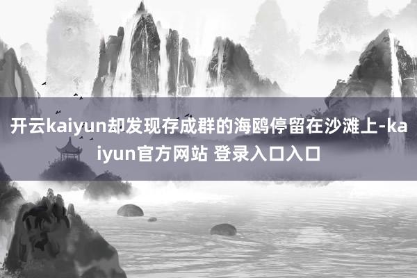 开云kaiyun却发现存成群的海鸥停留在沙滩上-kaiyun官方网站 登录入口入口