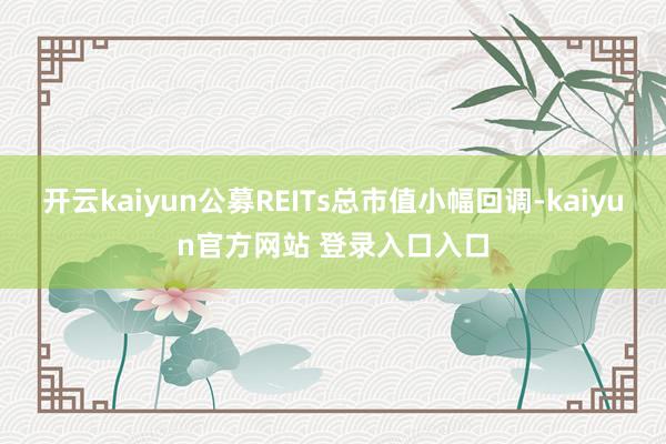 开云kaiyun公募REITs总市值小幅回调-kaiyun官方网站 登录入口入口
