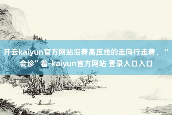 开云kaiyun官方网站沿着高压线的走向行走着、“会诊”着-kaiyun官方网站 登录入口入口