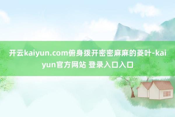 开云kaiyun.com俯身拨开密密麻麻的菱叶-kaiyun官方网站 登录入口入口