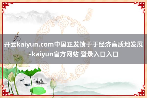 开云kaiyun.com中国正发愤于于经济高质地发展-kaiyun官方网站 登录入口入口