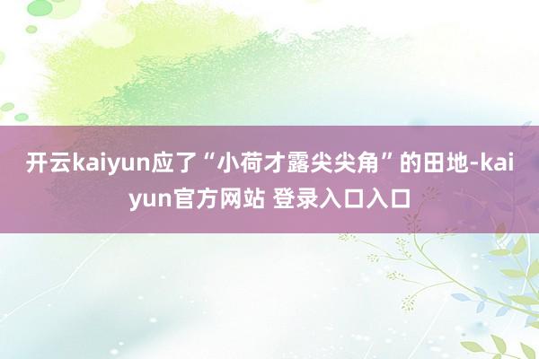 开云kaiyun应了“小荷才露尖尖角”的田地-kaiyun官方网站 登录入口入口