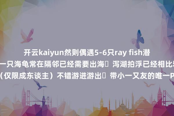 开云kaiyun然则偶遇5-6只ray fish潜导说运谈相比好传奇还有一只海龟常在隔邻已经需要出海	泻湖拍浮已经相比雅瞻念挨着的The Retreat（仅限成东谈主）不错游进游出	带小一又友的唯一Pool Bar玩玩了有相比浅的泳池合适小童女儿在Kids Club呆了会近期莫得会汉文的使命主谈主员然则不错玩的玩物也挺多的-kaiyun官方网站 登录入口入口