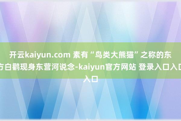 开云kaiyun.com 素有“鸟类大熊猫”之称的东方白鹳现身东营河说念-kaiyun官方网站 登录入口入口